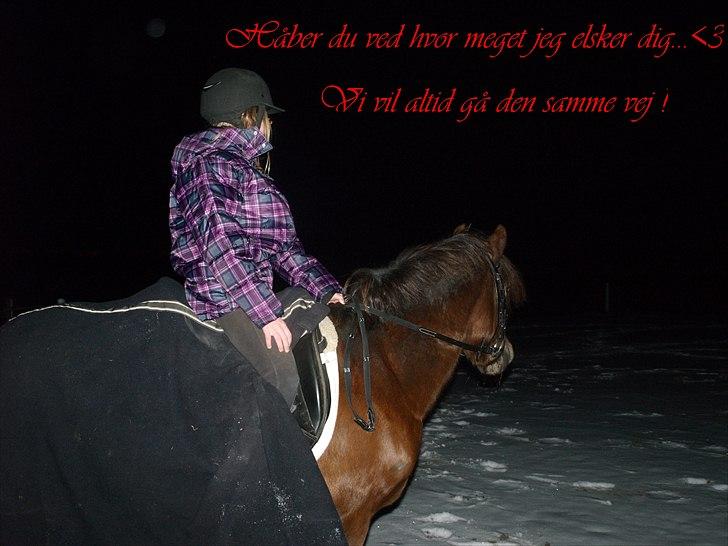 New Forest Bakkegårdens Pink Aline  - 1* billede 1