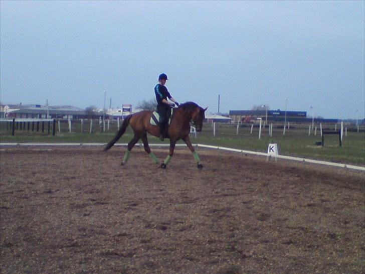 Dansk Varmblod Najaden - Træning 25-04-10 Fotograf: Mara :D billede 13