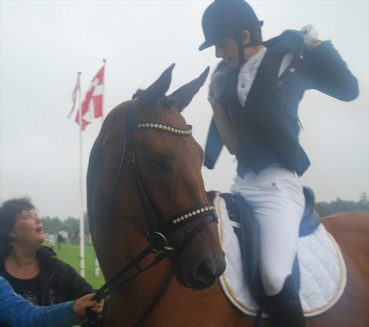 Dansk Varmblod Najaden - Smukke pjævs :D billede 16