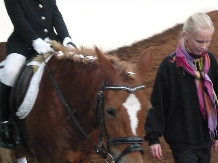 New Forest Lillehøjs Meranti - et stævne hula hop hvor det går billede 6