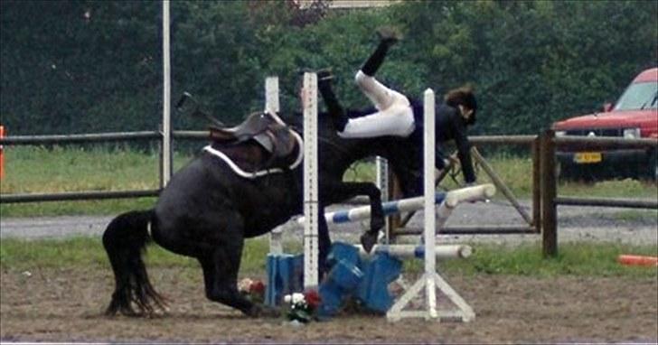 Dansk Varmblod Jantra - ja sådan kan det jo også nogen gange gå  billede 10