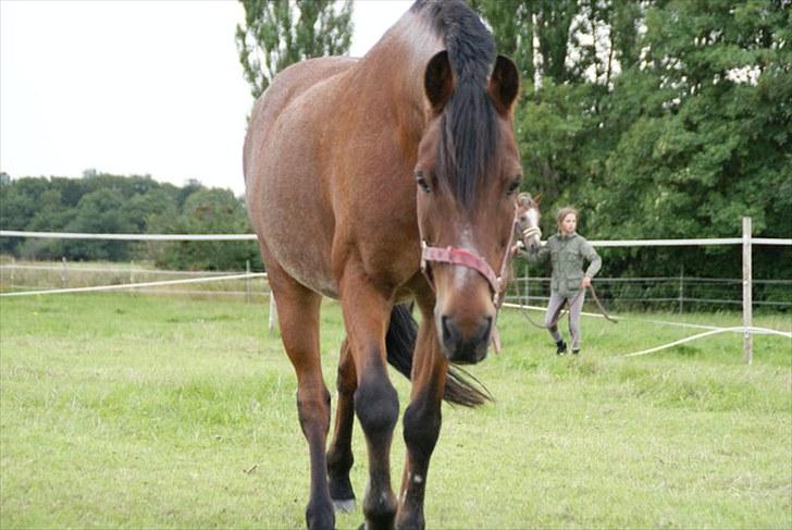 Anden særlig race Mickey .(SOLGT)MISS YOU  - er han ik bare sød . elsker det her billede af ham .. Foto Lisa  billede 4