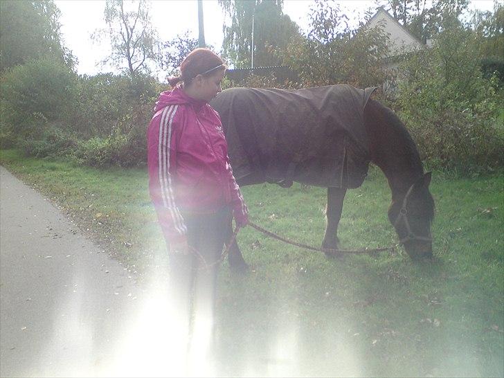 Anden særlig race Mickey .(SOLGT)MISS YOU  - Sidste dag med ham , sidste går tur med ham inde han blev hente :( billede 5