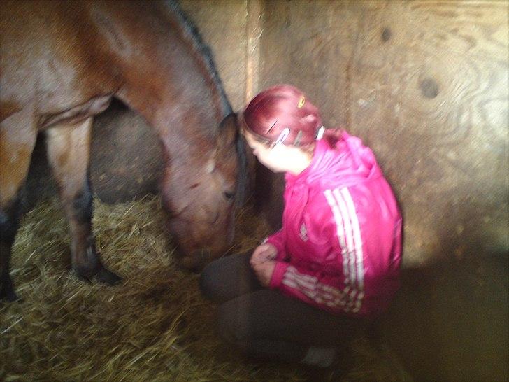 Anden særlig race Mickey .(SOLGT)MISS YOU  - Mig og Mickey inde i hans bosk inde han blev hente , jeg var fucker ked af det her :( men han trøste mig med hans mule :) billede 9
