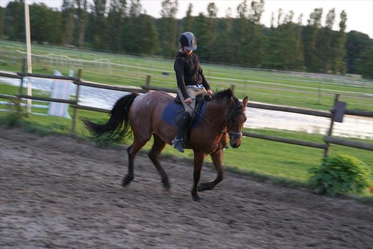 Anden særlig race Mickey .(SOLGT)MISS YOU  billede 11