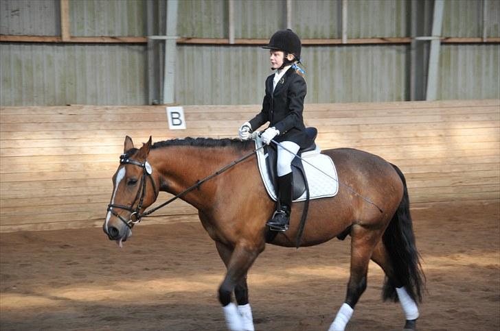 Anden særlig race Vestervangs Ib  - Dejlig luft til tungen xb billede 4