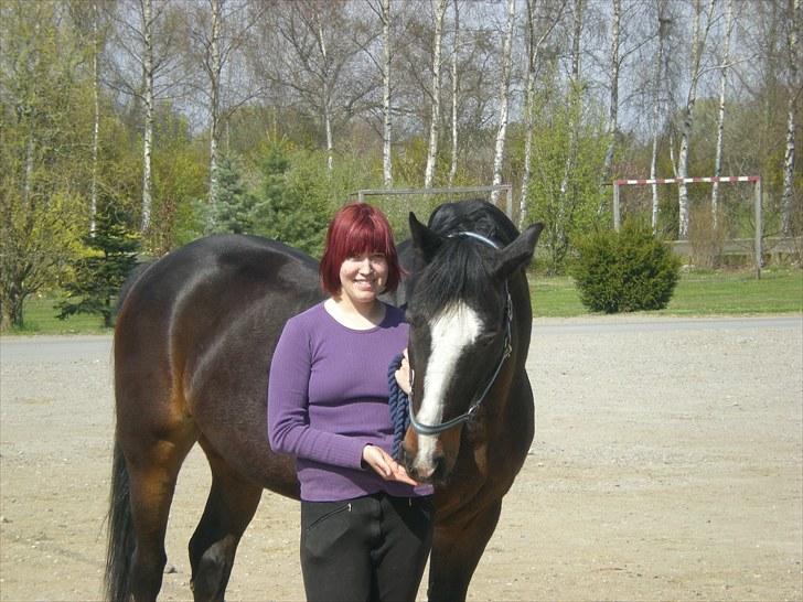 Anden særlig race Cornelius (Tidl. part) - Stor Hest - Stort Hjerte.. <3<3<3 billede 11