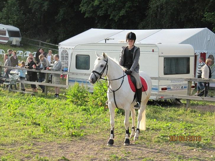 Hollandsk Sportspony Shirley Valentine Mclaine - Aagaardens ridelejr sommerferien 2010 billede 10