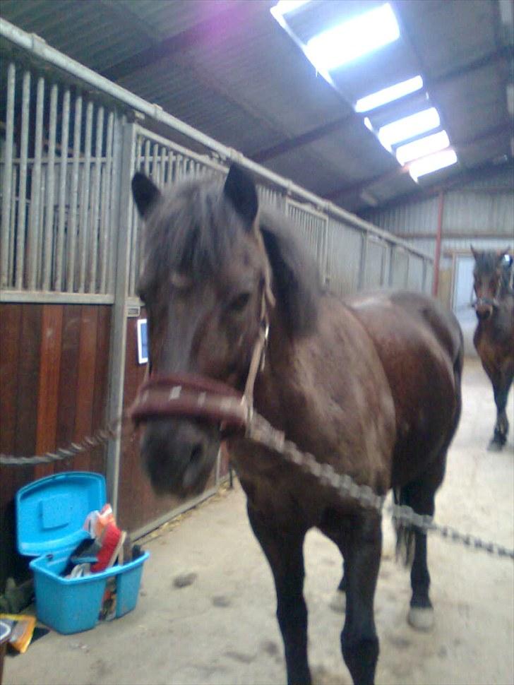 Anden særlig race Sorteper!!<3  - JEG ELSKER DIG SORTEPER <3 billede 7