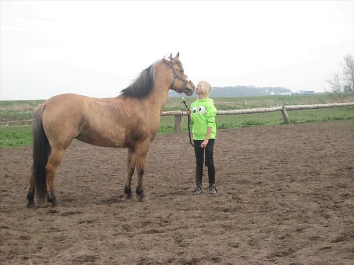 Anden særlig race Gimmle *SAVNER DIG!* billede 2