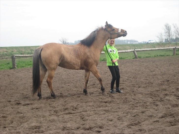 Anden særlig race Gimmle *SAVNER DIG!* billede 5