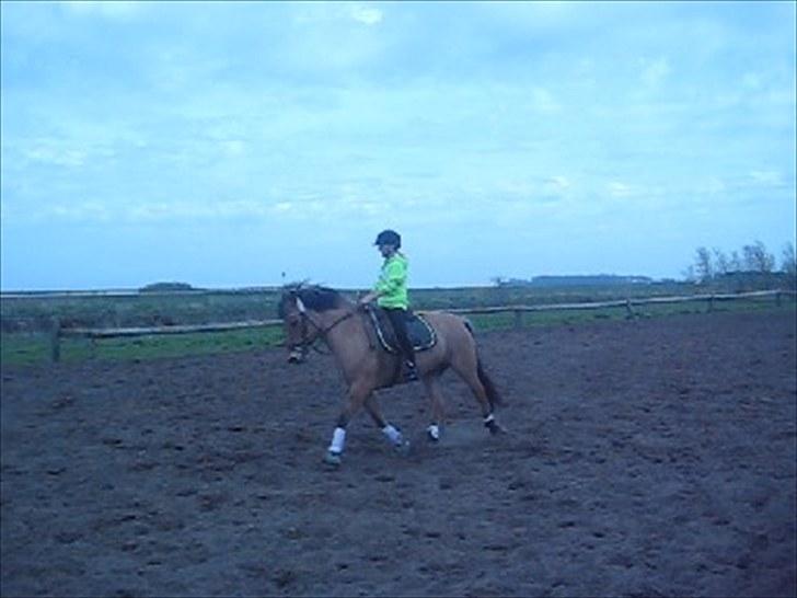 Anden særlig race Gimmle *SAVNER DIG!* billede 8