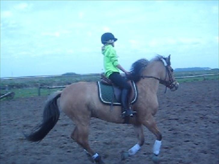 Anden særlig race Gimmle *SAVNER DIG!* billede 10