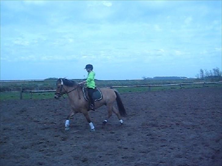 Anden særlig race Gimmle *SAVNER DIG!* billede 11