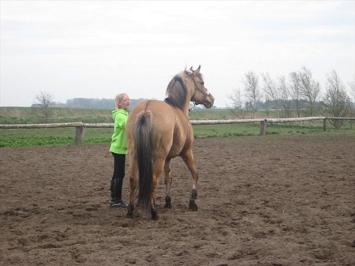 Anden særlig race Gimmle *SAVNER DIG!* billede 12