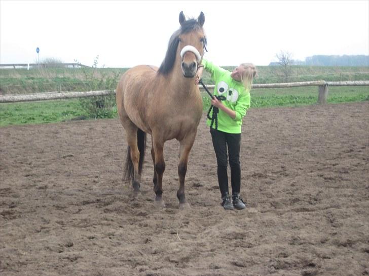 Anden særlig race Gimmle *SAVNER DIG!* billede 13