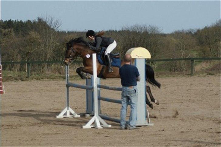 Hollandsk Sportspony | Elim - LA i farsø, nul! andet stævne efter skaden.. :* billede 3