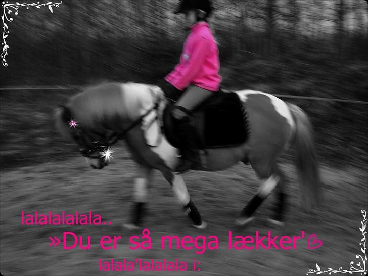 Anden særlig race LYSHOLMS ViKTOR ªkª ViGGO - look at mee - im famous (; <3 billede 14