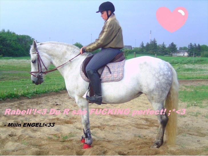 Connemara Rabel'<33 'Solgt'<3 - Fin parade :) billede 1