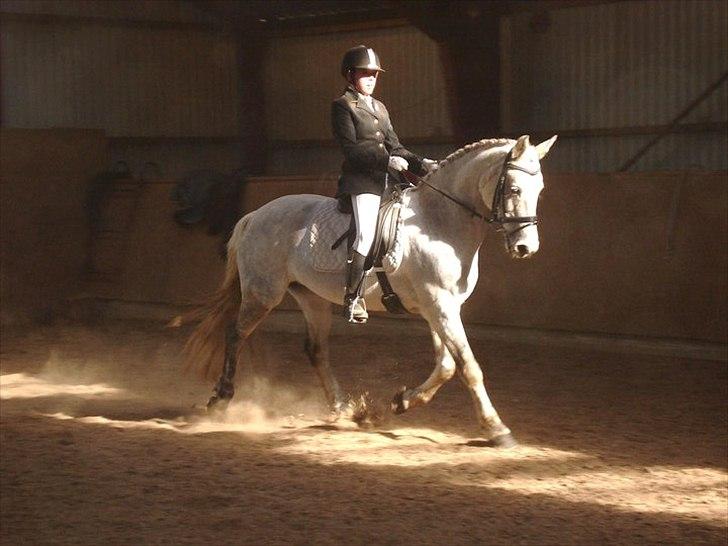 Connemara Rabel'<33 'Solgt'<3 - Rabell til stævne med gl ejer :D billede 6