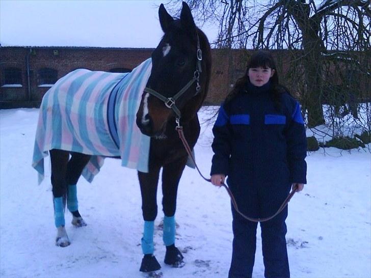 Anden særlig race Arthur - Lige da jeg havde fået ham, se hvor tynd han var? :O <3 billede 4