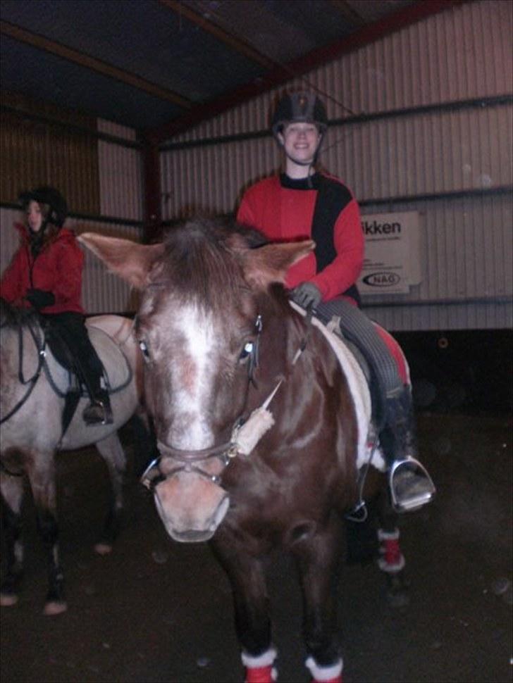 New Forest Roløkke Alpe - til julehalløj december 2010 på klubben (: med nogen meget sjove ørere lige der haha :P billede 13