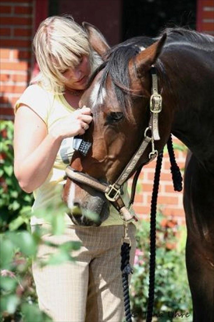 Anden særlig race Charlie  billede 19