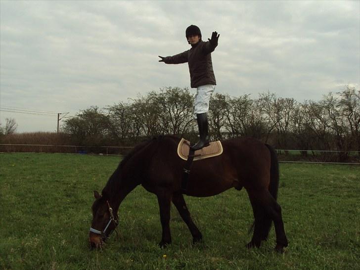 Oldenborg Chevall R.I.P - ja Vallydrengen er indbegrebet af pålidelighed  billede 16