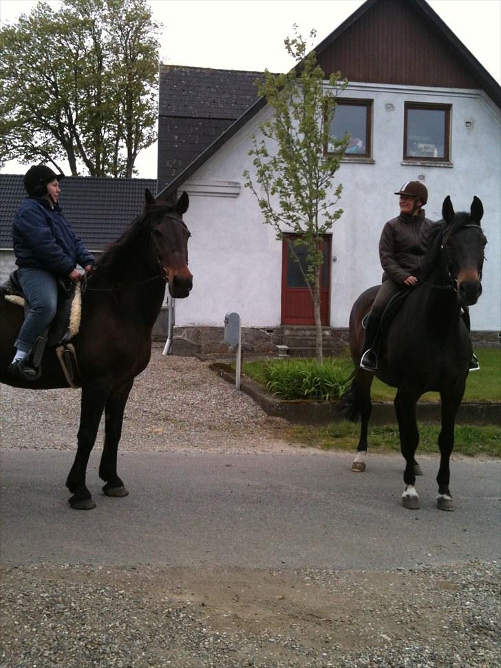 Oldenborg Chevall R.I.P - min veninde Bente på Chevall og mig på Anita ...TOTAL råhygge tur  billede 17
