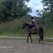 Anden særlig race Megan~R.I.P d. 14/2-2011