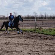 Traver ¤ DIXI stensbæk¤(solgt)