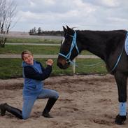 Traver ¤ DIXI stensbæk¤(solgt)