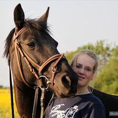 Anden særlig race Sokky