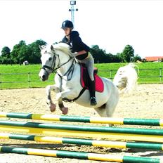 Anden særlig race Farina