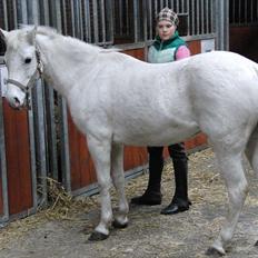 Anden særlig race Sasha<3