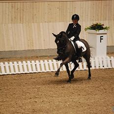 Anden særlig race Magic Manipu <3