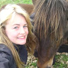 Islænder Skuggi fra Vestergaard