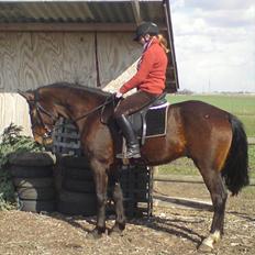 Traver König min skat :)