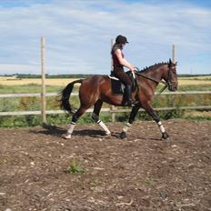 Traver König min skat :)