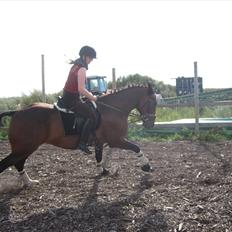 Traver König min skat :)