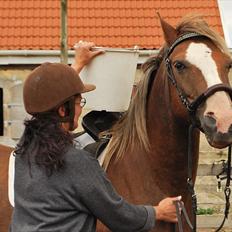 DSP Rolighedens Picasso 