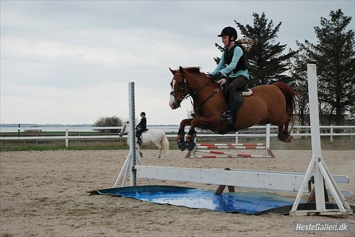 Anden særlig race Ferrari - 6, første vandgrav for os begge! Seje reje ;-) foto ~ Christina Raun. billede 5