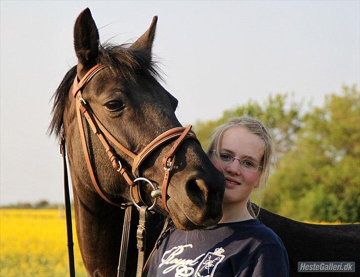 Anden særlig race Sokky billede 1