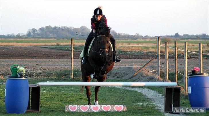 Anden særlig race Sokky - Spring på banen! :-D billede 2