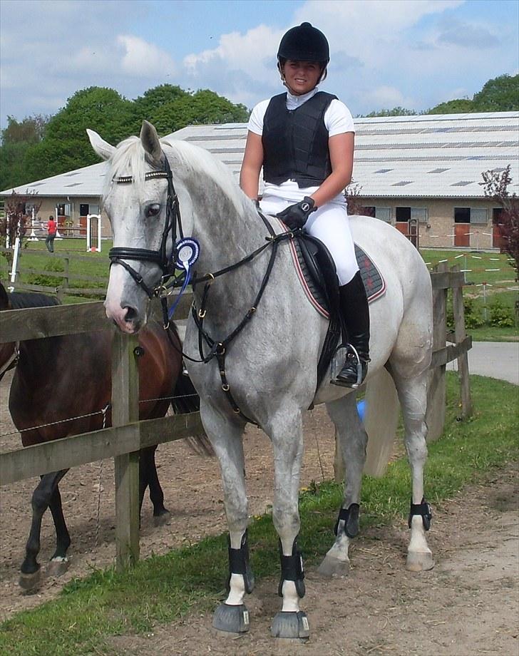 Tysk Oldenburger Certina   - Første stævne på certina .. 2.plads LC billede 1