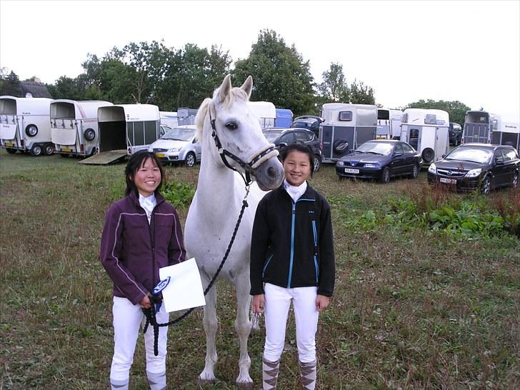 Connemara Guardian angel - nyt billed... taget for lang tid siden billede 2