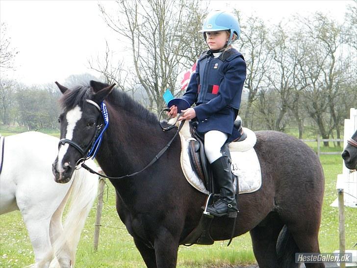 DSP Bæklunds Capone - naja og Capone til deres 1. distriktsstævne, her en anden plads i LB** met B1.. Foto Kathrine Sørensen billede 13