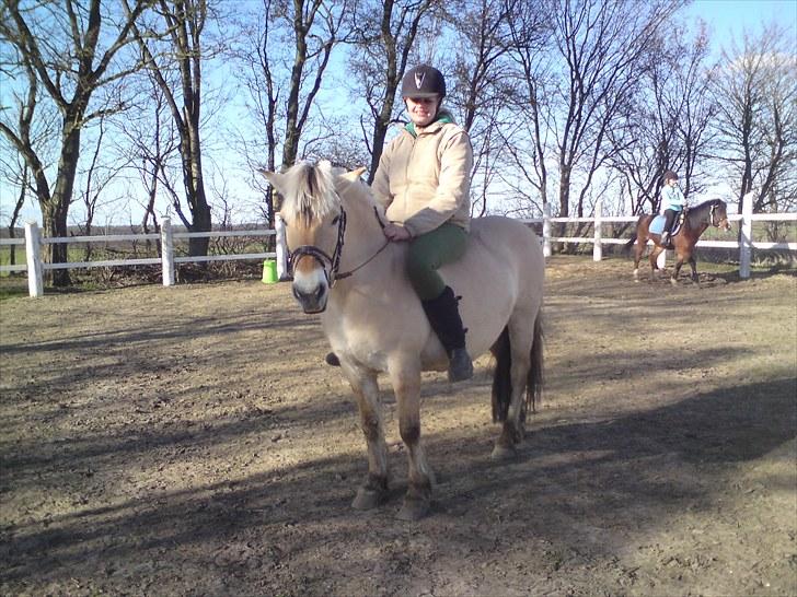 Fjordhest Gaia pigen :b - Hehe, trækker benene op, så passer jeg hende xD billede 4