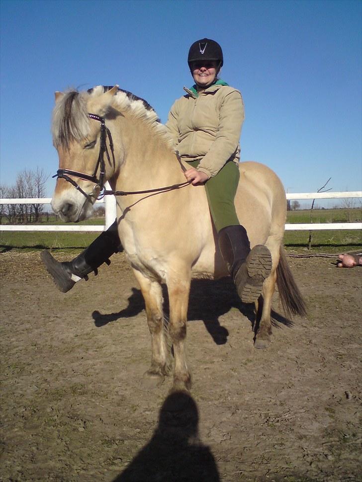 Fjordhest Gaia pigen :b - Fjollebillede xD haha billede 6