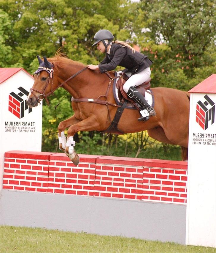 Anden særlig race MR. BOMBASTIC - første C-stævne LA 5.plads og en 2.plads i LB billede 14